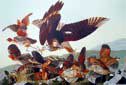Bobwhite & Red-Shouldered Hawk – Plate Reference #76